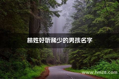 姓林好聽的名字|100分林姓好听稀少的男孩名字大全